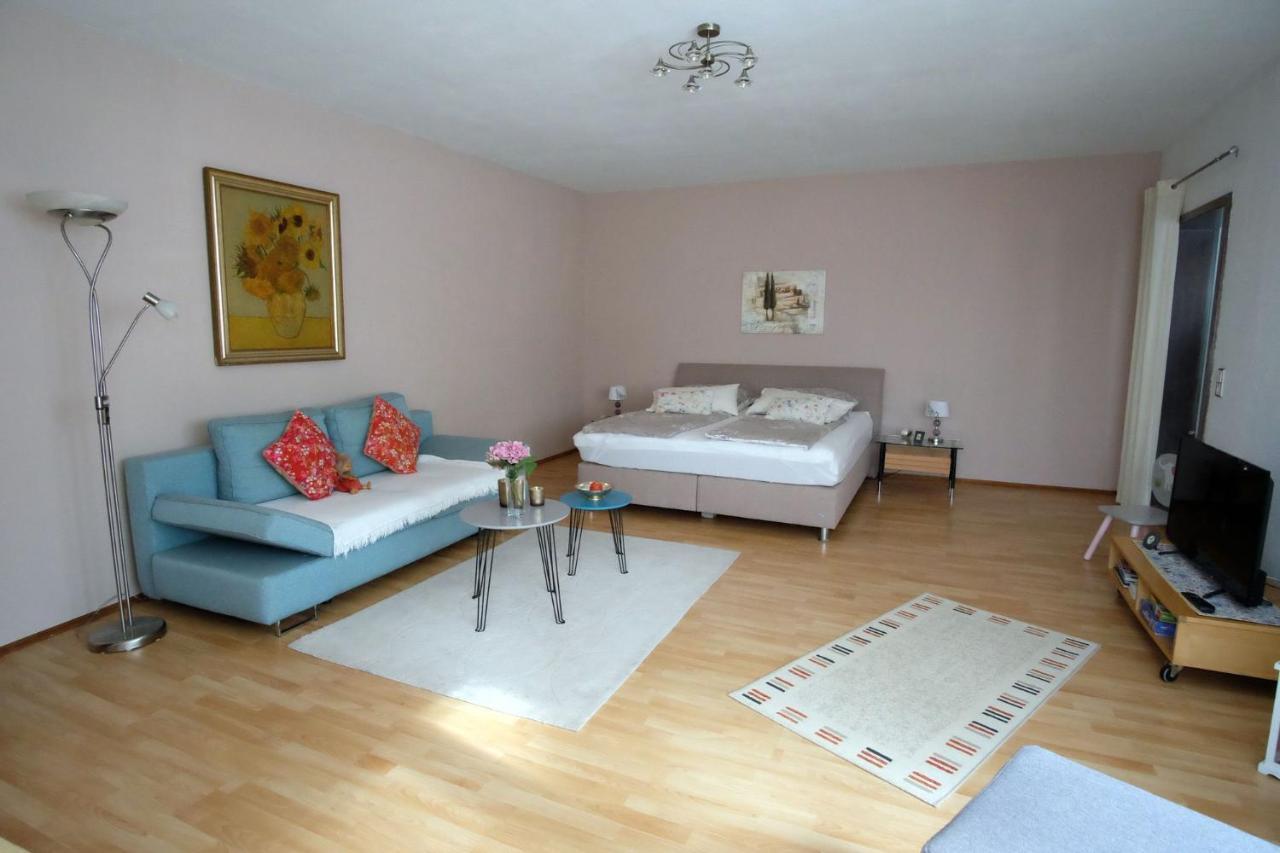 Ferienwohnung Heinzelmann Μπάντεν-Μπάντεν Εξωτερικό φωτογραφία